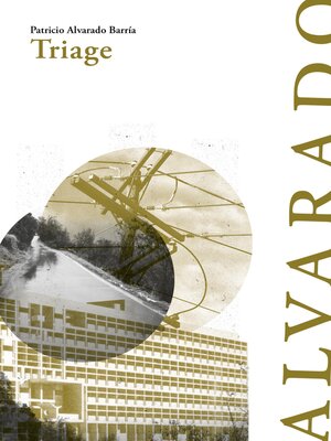 cover image of Triage